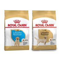 Royal Canin Labrador Puppy / Adult อาหารลูกสุนัข และ สุนัขโต พันธุ์ลาบราดอร์ 12 กก.