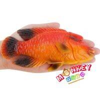 Monkey Toys - โมเดลสัตว์ Humphead Wrasse ปลานกแก้ว แดง ขนาด 16.30 CM (จากหาดใหญ่)