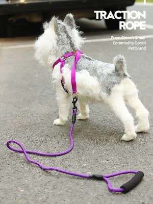 （PAPI PET）สายจูงสุนัข1.2M,สายจูงสายรัดไนลอนพร้อมสายรัดอกตาข่ายสำหรับสุนัขขนาดเล็กกลางที่จับที่นุ่มสบาย