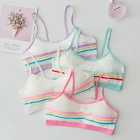 3Pcs Children Breast Care Solid Color Girl Bra Teenage Young Underwear Kids Girls Crop Detachable Vest Puberty Tube Top