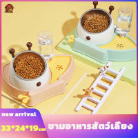 ชามอาหารสัตว์เลี้ยง ชามน้ำอัตโนมัติ ชามอาหารสุนัข ชามอาหารแมว