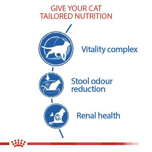 หมดกังวน-จัดส่งฟรี-royal-canin-indoor-อาหารแมว-อาหารแมวโต-แมวอาศัยในบ้าน-ขนาด-2-กิโลกรัม-4-กิโลกรัม-10-กิโลกรัม-บริการเก็บเงินปลายทาง