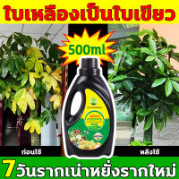 ตายแต่รอดได้ น้ำยาเร่งราก ยาเร่งราก 500ml เยียวยาด่วน ชุบชีวิตต้นใม้กำลังตาย ปริมาณสารอาหารสูง เร่งดอกไม้ ใบเขียว เร่งราก รากไม่เผา ใช้ได้พืชทุกชนิด แก้ปัญหาเช่นรากเน่า ผงเร่งรากพืช ผงเร่งราก ยาเร่งรากและใบ น้ำยาเร่งรากใบ น้ำยาเร่งรากต้นไม้