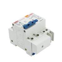 เครื่องป้องกันไฟกระชาก Spd ตัวป้องกันฟ้าผ่า2ขั้ว Dz47le เบรกเกอร์ Rcbo Rccb Mcb Rcd 20a 16a 25a 32a 40a 63a Dz47le