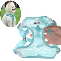 Summer Pet Outdoor Walking Supplies Reflective Breathable Puppy Dog Harness and Leash Set for Small Dogs  Pomeranian Schnauzer Leashes