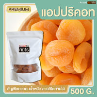 แอปปริคอท 500g แอปริคอท แอปปริคอต แอปริคอต เอพริคอต อบแห้ง ธรรมชาติ พร้อมทาน เพื่อสุขภาพ เกรดพรีเมียม ขนมทานเล่น ขนมเพื่อสุขภาพ