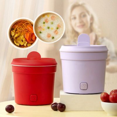 Small Household Multifunctional All-in-one Pot 220V Electric Hot Pot Mini Stainless Steel Inner Household Cooking Machine Portable