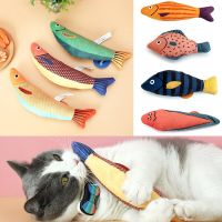 1/3/4pcs Cute Cat Toys Funny Interactive Plush Cat Toy Mini Teeth Grinding Catnip Toys Kitten Chewing Squeaky Toy Pets Supplies Toys
