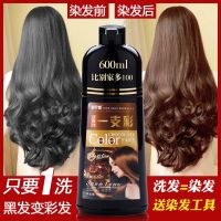 2021 popular color whitening hair dye your own home hair dye cream pure plant one wash black chestnut brown wine red grape purple