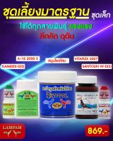 ชุดเลี้ยงไก่ชนมาตรฐานเล็กลำปำแท้(2007รุ่นใหม่+โสม+A18เม็ดเล็ก+ซานโตลีนเล็ก+คามิเด็กเล็ก)ราคาพิเศษของแท้#ลำปำของแท้1#สต็อคจากบริษัทโดยตรง#รายละเอียดตามรูป