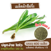 เมล็ดพันธุ์ ผักชีฝรั่ง แบ่งขาย 400 เมล็ด (ซื้อ 5 แถม 1)✨