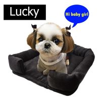 เบาะนอนสัตว์เลี้ยง เบาะสุนัข เบาะแมว เบาะสัตว์เลี้ยง รุ่น Lucky