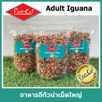 Rep-Cal Adult Iguana Food อาหาร อีกัวน่า และ สัตว์กินพืช เรปแคล มีส่วนผสมของผลไม้ กลิ่นหอม สัตว์ชอบกินมาก มีสารอาหารที่ครบถ้วนสมบูรณ์ ขนาด 1.13 kg Made in USA Repcal