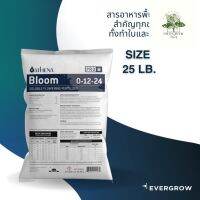 [ready stock]Athena ProLine / ProBloom ปุ๋ยทำดอก สารอาหารจำเป็นสำหรับช่วงทำดอก Bloom ขนาด 25lb. ของแท้มีบริการเก็บเงินปลายทาง