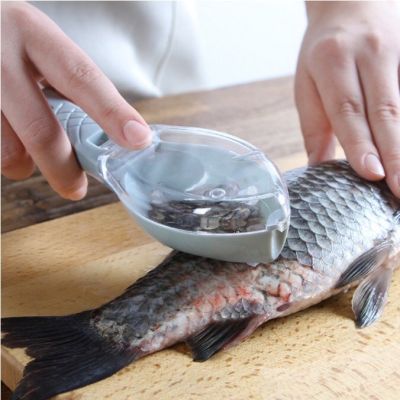 อุปกรณ์ถอดเกล็ดปลา ที่ถอดเกล็ดปลา แบบมีฝาปิด Fish Scale Peeler ถอดได้จริง