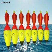 ▧┇ 1PC Fishing Float EVA Luminous Foam Plastic Bobber Night Fishing Float Light Stick Striking Float Fea Ocean Rock Fishing 20-100g