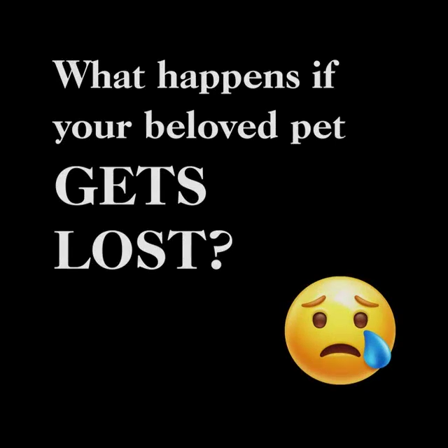 Polymer Round Shaped Pet ID TagPOKEMON BALL Double Sided Print Dog