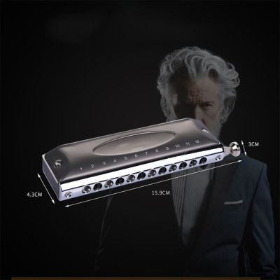 Fashion High Quality Musical Instruments Chromatic EASTTOP 12 Holes 48 Tones Harmonica Without Membrane 1248NV