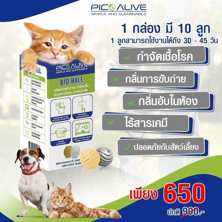 pico-bio-ball-พิโกไบโอบอล-1-กล่อง-10-ลูก-ไบโอบอล-เทคโนโลยีชีวภาพ-กำจัดกลิ่นเหม็น-อเนกประสงค์