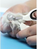 Dog and Clippers Round Mouth Design is Not Afraid of Injury Soft Rubber Handle Washable Stainless Supplies.