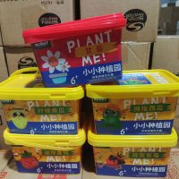 เด็กอนุบาล Growpotted พืช DIY กล่องสูทดอกไม้ผลไม้ Farmplantations