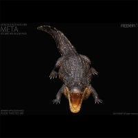 REBOR 135 Deinosuchus Hatcheri Meta Estuary Ver.de Luxe Pack จมน้ำ Appalachiosaurus ไดโนเสาร์รุ่นรุ่นสีดำ