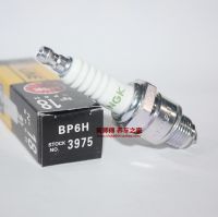 Original-genuine✶♘▧ NGK spark plug BP6H is suitable for Mulan E6TC E5TC 4114 generator