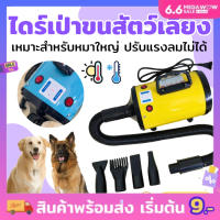 ไดร์เป่าขนสัตว์ ไดร์ขนหมา เครื่องเป่าขน ไดร์ไล่น้ำ ไดร์เป่าขนหมา 2800W  ไดร์เป่าขนสัตว์ ไดร์สุนัข ไดร์