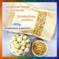 เมล็ดข้าวโพดป๊อปคอร์นmushroom เมล็ดป๊อปคอร์นมัชรูม ป๊อปคอร์นมัชรูม mushroom popcorn  น้ำหนัก1,000กรัม [ของแท้]