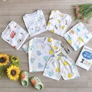 Video Thật Bộ Cộc Tay Cotton Sợi Tre Loại Mát Mềm Mịn Cho Bé 7-11kg QATE004