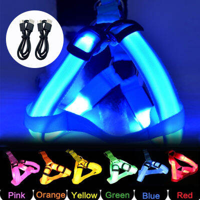 USB Charging Led Flashing Pet Dog Light Leash Harness nti-LostAvoid Car Accident Luminoso Perros Safety Chest Straps Luminous