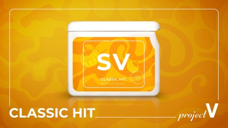 [mua 10 tặng 1] sv classic hit - sveltform vision mẫu mới 1