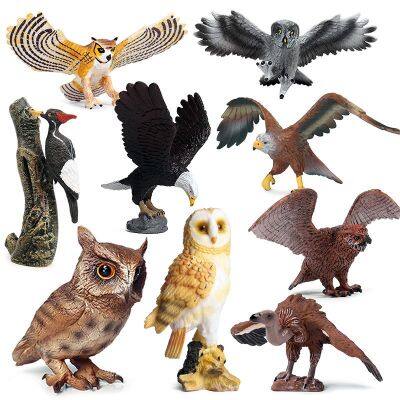 Simulation model of birds eagle owl wildlife seagull peregrine falcon bald eagles children cognitive toys