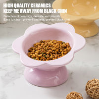 Cat Water Ceramic Bowl Raised Drinking Eating Food Bowls Puppy Dogs Elevated Tilted Feeder Products