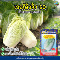 เมล็ดผักกาดขาว เฮอร์คิวลิส60 F-1 CHINESE CABBAGE ตราภูเขาทอง 200เมล็ดโดยประมาณ เมล็ดพันธุ์ผักกาดขาว เมล็ดพันธุ์ผัก เมล็ดผักสวนครัว