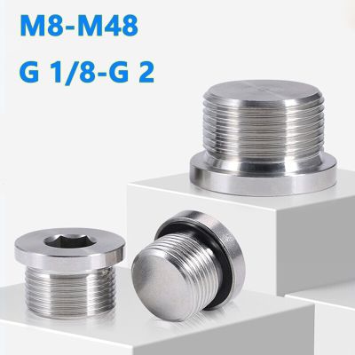 1pc Male Thread 304 Stainless Steel Hex Socket Plug ED Sealing Ring Flange Inner Hexagon Bolt Oil Water Pipe Fitting Pipe Fittings Accessories