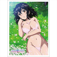 Strike the Blood Sleeve "Yukina Himeragi"