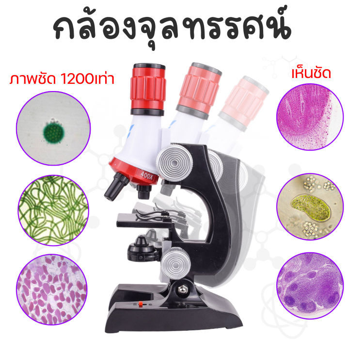 กล้องจุลทรรศน์-microscope-educational-series-with-led-100x-400x-and-1200x-กล้องจุลทรรศน์อิเล็กตรอน-กล้องไมโครสโคป-กล้องจุลทรรส-เหมาะกับเด็กปฐมวัยขึ้นไป