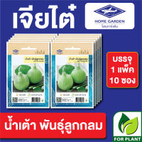 ผักซอง เจียไต๋ CT15 เมล็ดพันธุ์ พันธุ์ผัก น้ำเต้าลูกกลม บรรจุแพ็คล่ะ 10 ซอง ราคา 70 บาท