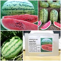 เมล็ดพันธุ์ แตงโม คลอนไดค์ (Klondike Striped Watermelon Seed) 20 เมล็ด คุณภาพดี ราคาถูก ของแท้