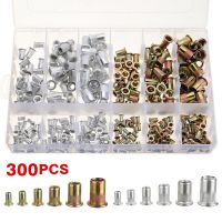 300pcs Zinc Plated Rivetnuts Blind Set Nutserts Threaded Insert Nutsert Cap Flat Head Rivet Nuts Carbon Steel M3 M4 M5 M6 M8 M10