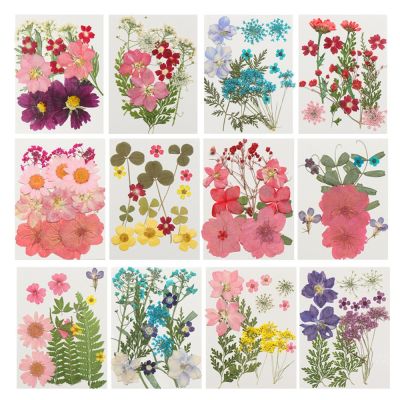 【cw】 RealDried Flowers Pressed Flowers Resin Mold FillingsforCandle Resin Crafts Jewelry NailBeauty Decal 【hot】