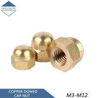 [พร้อมสต็อก] Brass Hexagon โดมหมวก Acorn ถั่ว M3 M4 M5 M6 M8 M10 M12หัว Nut ทองแดงรอบหัว Hex Nuts ชุดเครื่องมือ DIY ชุดซ่อมเปลี่ยน