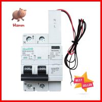 เมนเซอร์กิตเบรกเกอร์กันดูด/กันรั่ว 63 แอมป์ 1 เฟส HACO รุ่น R09MAIN CIRCUIT BREAKER RCBO 63 A 1 Phase HACO R09 **พลาดไม่ได้แล้วจ้ะแม่**