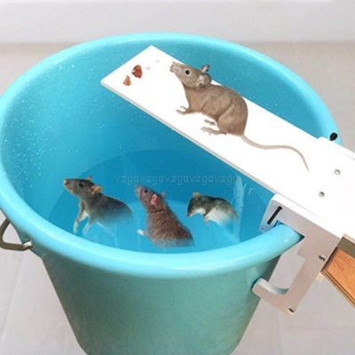 Walk The Plank Mouse Trap Mice Cage Rat Trap Auto Reset Rodent Bucket Board Jy02 19 Dropship