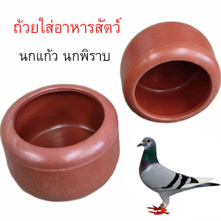 My Image 12