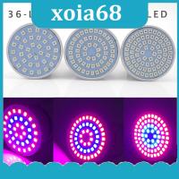 xoia68 Shop 110V 36/54/72 LED Plant Grow Light Lamps Indoor Cultivo Flower Red Blue Growing Light For Hydro Growbox Fitolampy