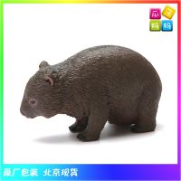 ? Genuine and exquisite model collecta I you he simulation jungle animal plastic model childrens toys 88756 Wombat