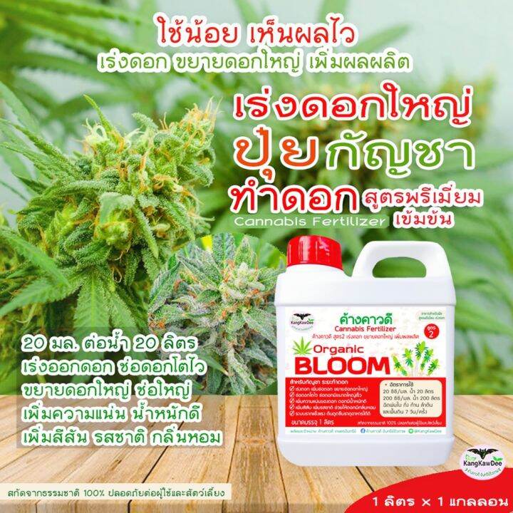 ปุ๋ยกัญ-ระยะทำดอก-เร่งดอกโตไว-ขยายดอกใหญ่-ช่อดอกแน่น-ดอกสมบูรณ์-ค้างคาวดี-สูตร2-เพิ่มน้ำหนัก-เพิ่มสีสัน-เพิ่มรสชาติและกลิ่นหอม