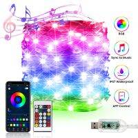 {Best-selling party decoration} 5โวลต์บลูทูธสมาร์ท LED String กับนางฟ้าระยะไกลกันน้ำพวงมาลัยโคมไฟ LED String สำหรับห้องนอนคริสต์มาสตกแต่งงานแต่งงาน